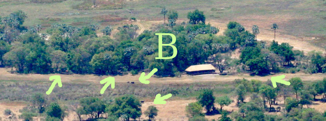 Chitabe Lediba camp aerial detail