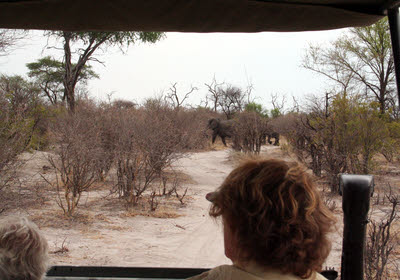 AfricaTrip photo