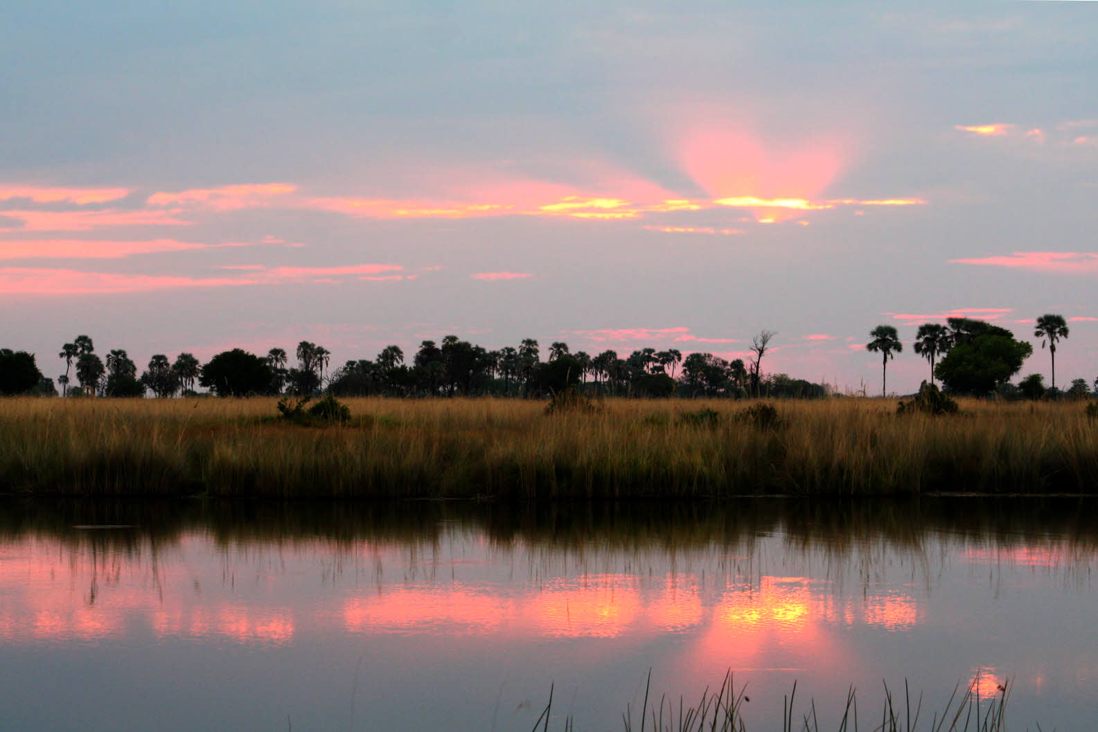 AfricaTrip photo