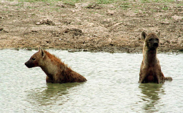 AfricaTrip photo