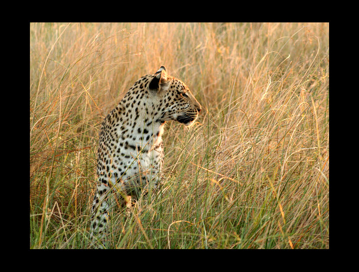 AfricaTrip photo