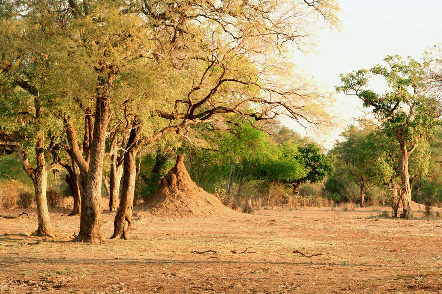 AfricaTrip photo