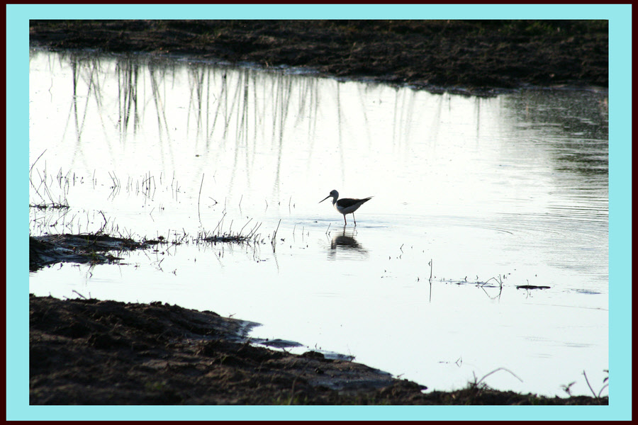 AfricaTrip photo