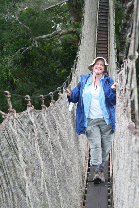 [Image of lady in blue on canopy walk]
