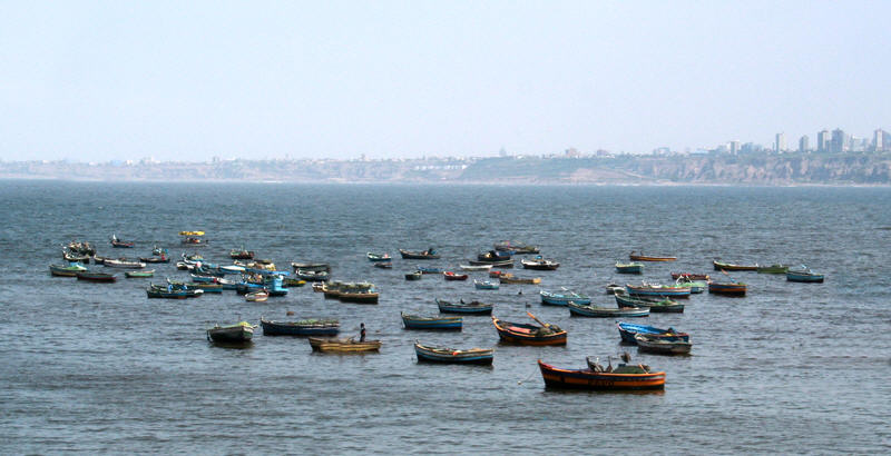 [Image of lima fishing fleet]