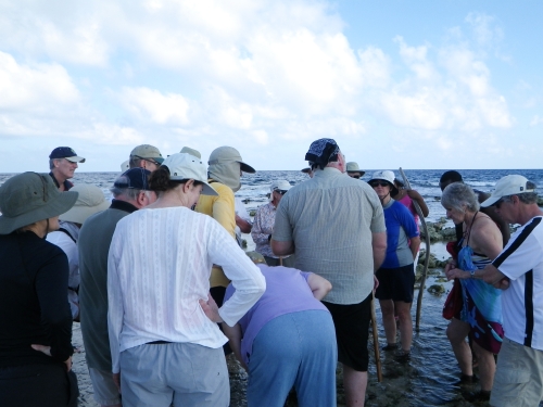 Blue Marlin Lodge photo by RG DeLong