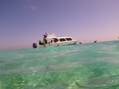 Blue Marlin Lodge photo by RG DeLong