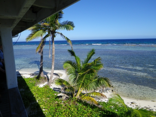 Blue Marlin Lodge photo by RG DeLong