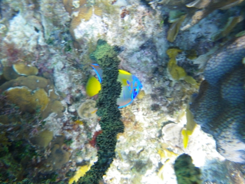 Blue Marlin Lodge photo by RG DeLong