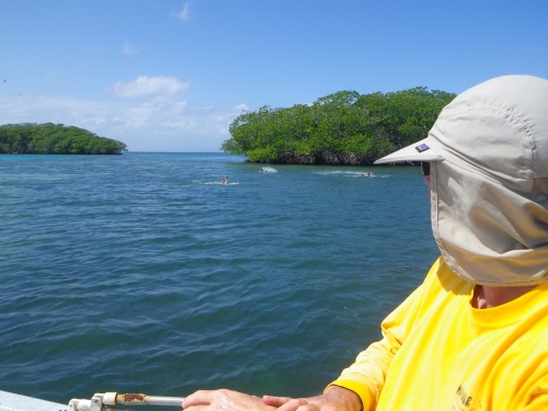 Blue Marlin Lodge photo by RG DeLong