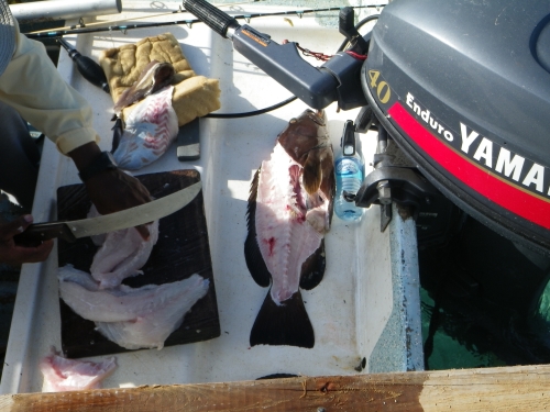 Blue Marlin Lodge photo by RG DeLong