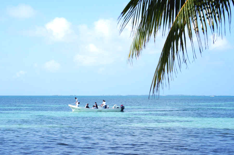 Image from Belize trip