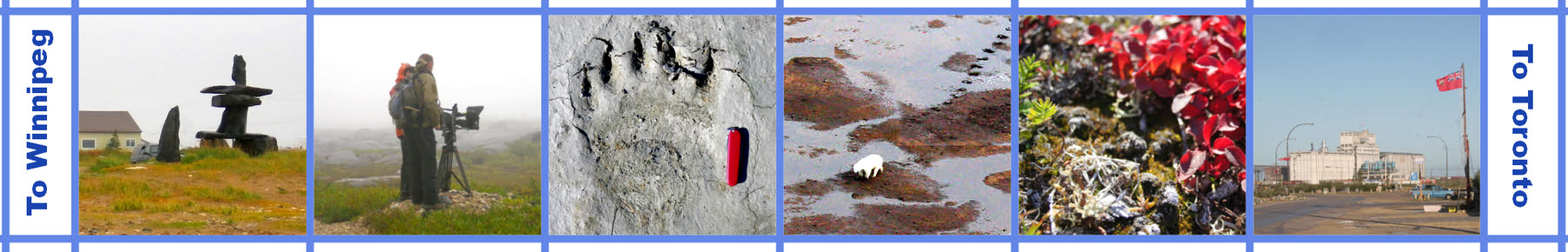 photos from Churchill Manitoba
