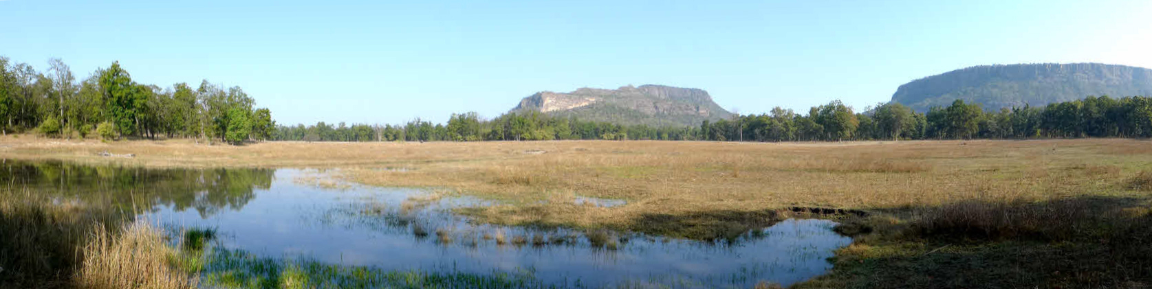 Bandhavgarh