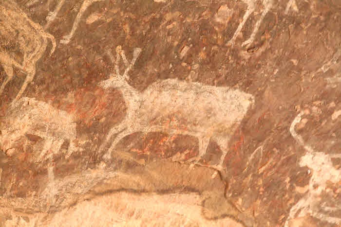 'cave' painting, Bhimbetka rock shelters- deer
