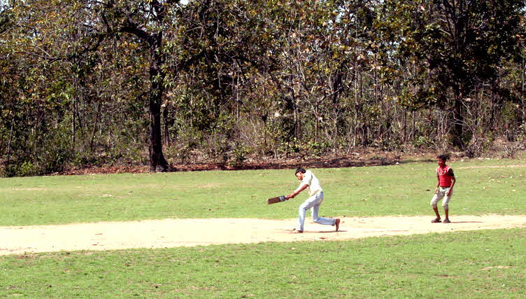 Cricket