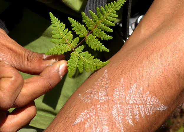 Art from fern spores