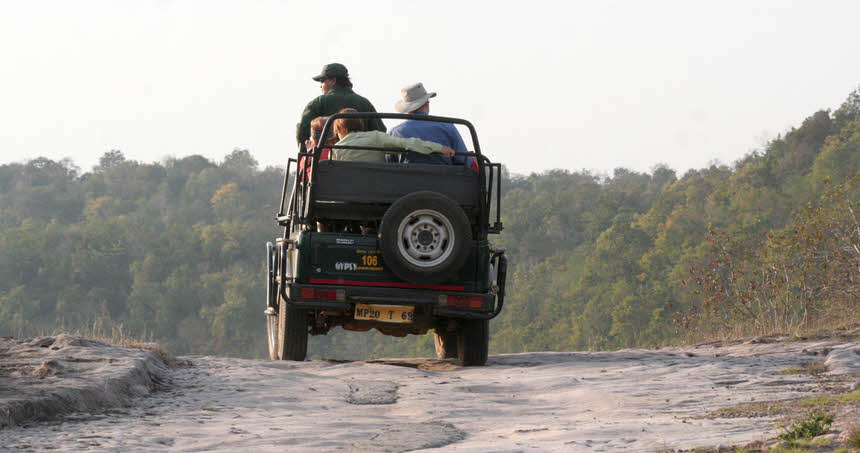 Looking for tigers, Bandhavgarh
