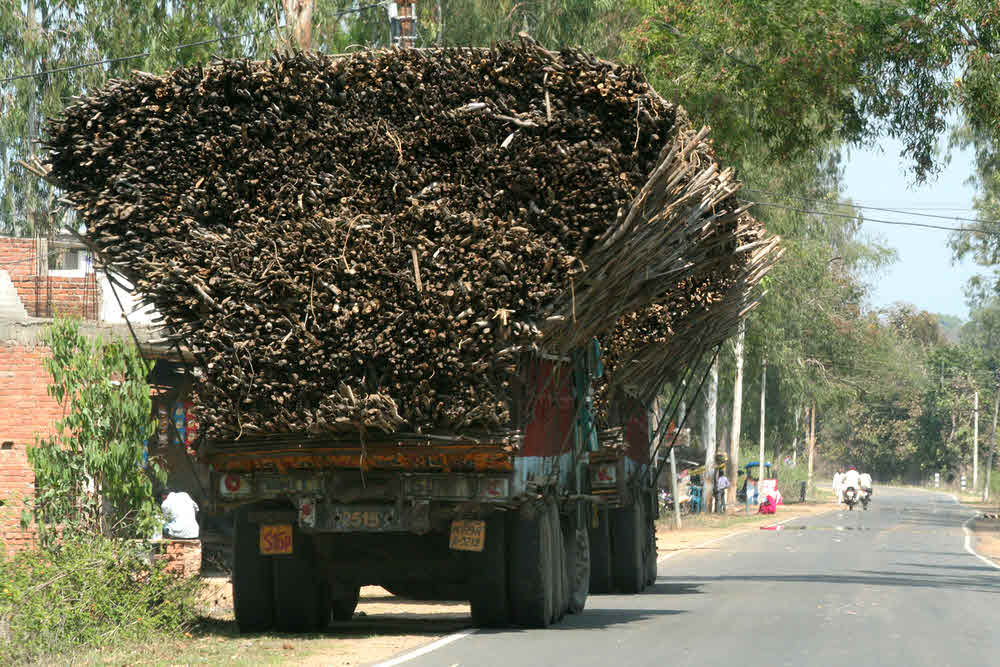 Lorry with load of sticks, India