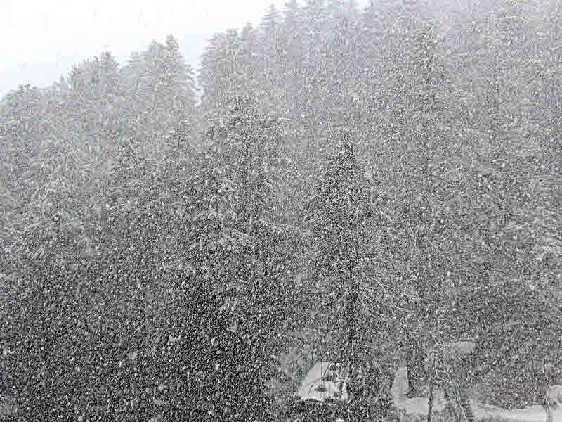 Snow in Shimla, 10 Mar 2014