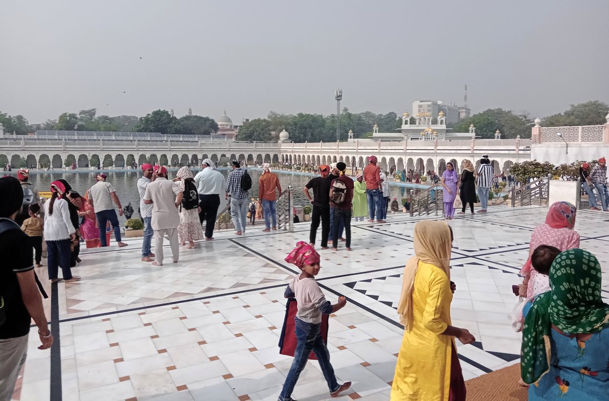((image del-sikh-pool-20231105_134229.jpg goes here))