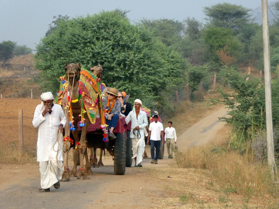 ((image dera-camel-caravan-p1010581.jpg goes here))