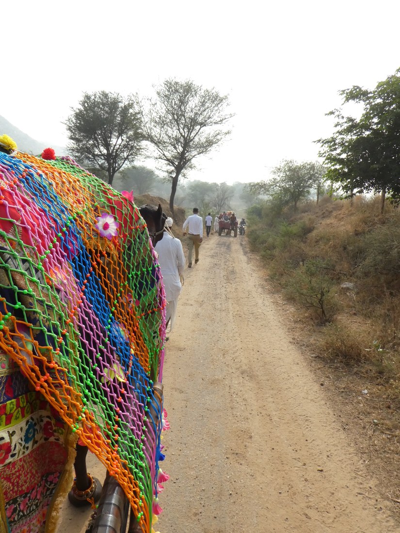 ((image dera-camel-ride-p1010541.jpg goes here))