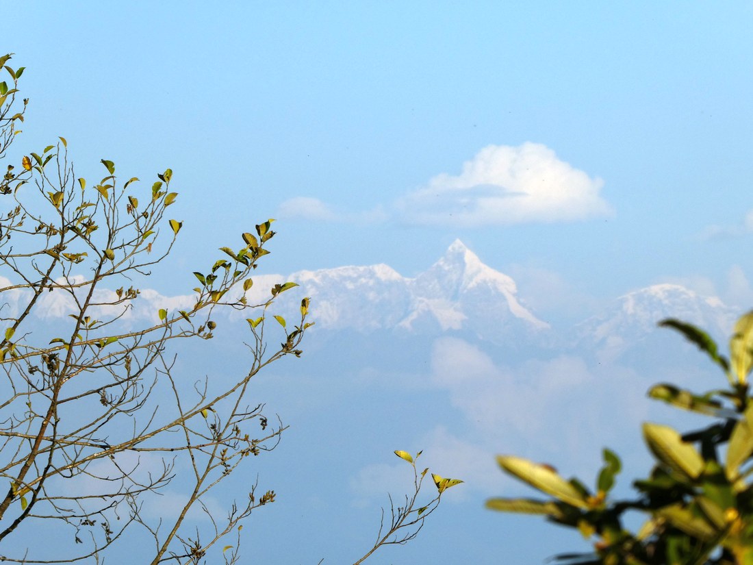 ((image nag-trig-maybe-everest-p1020390.jpg goes here))