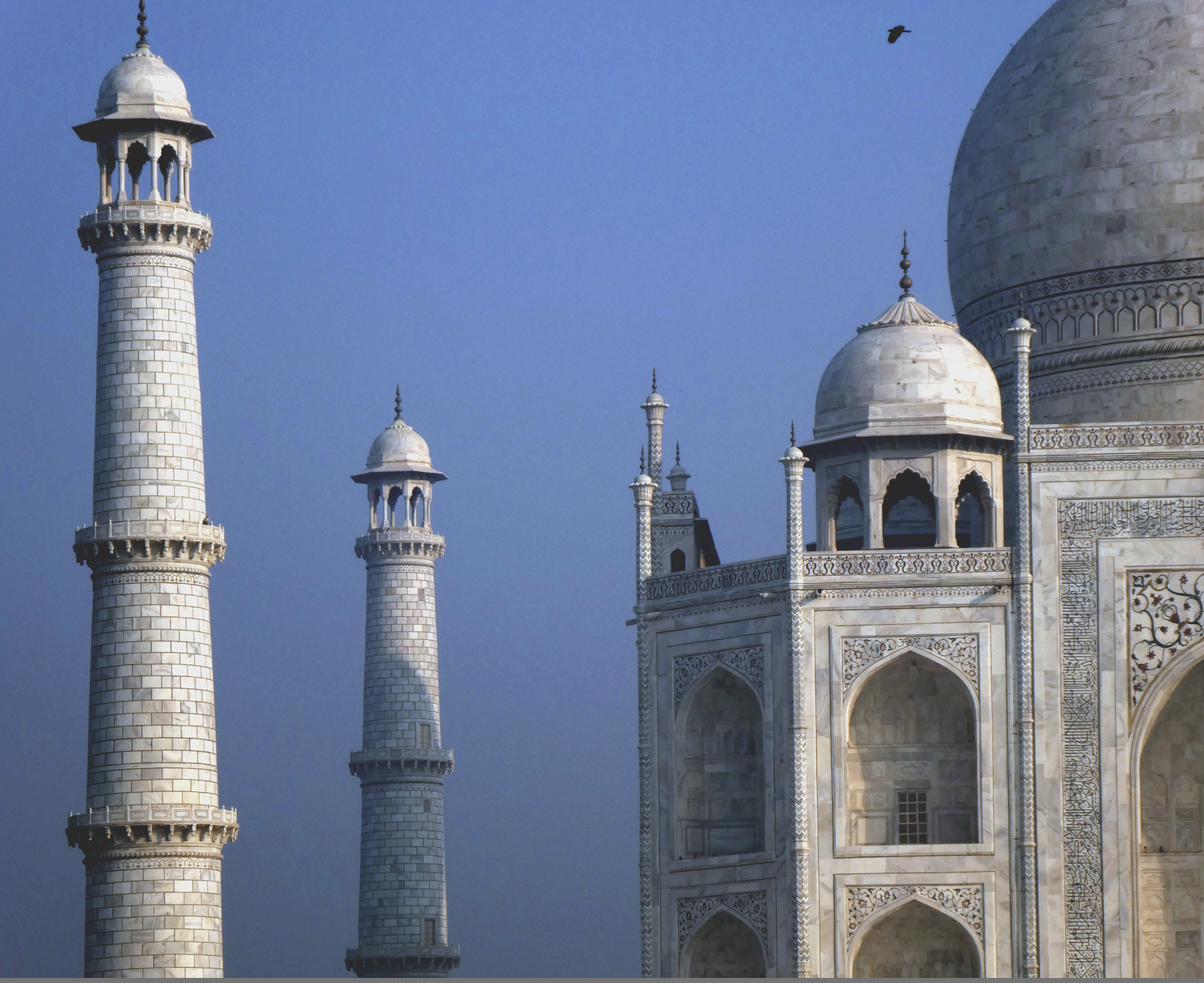 ((image taj-left bit-p1010703.jpg goes here))
