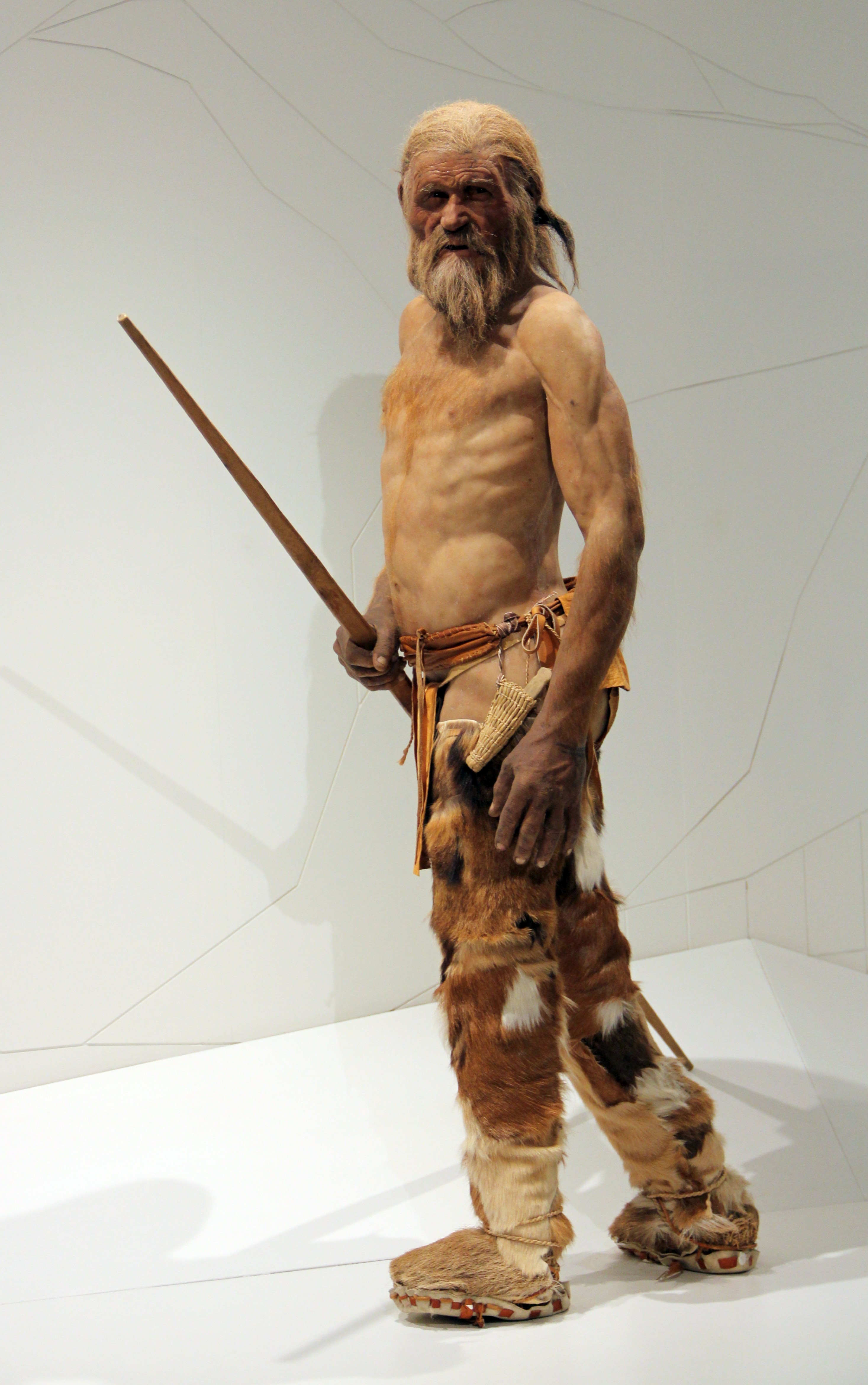 ((image bol-otzi-M2523.jpg should appear here.))